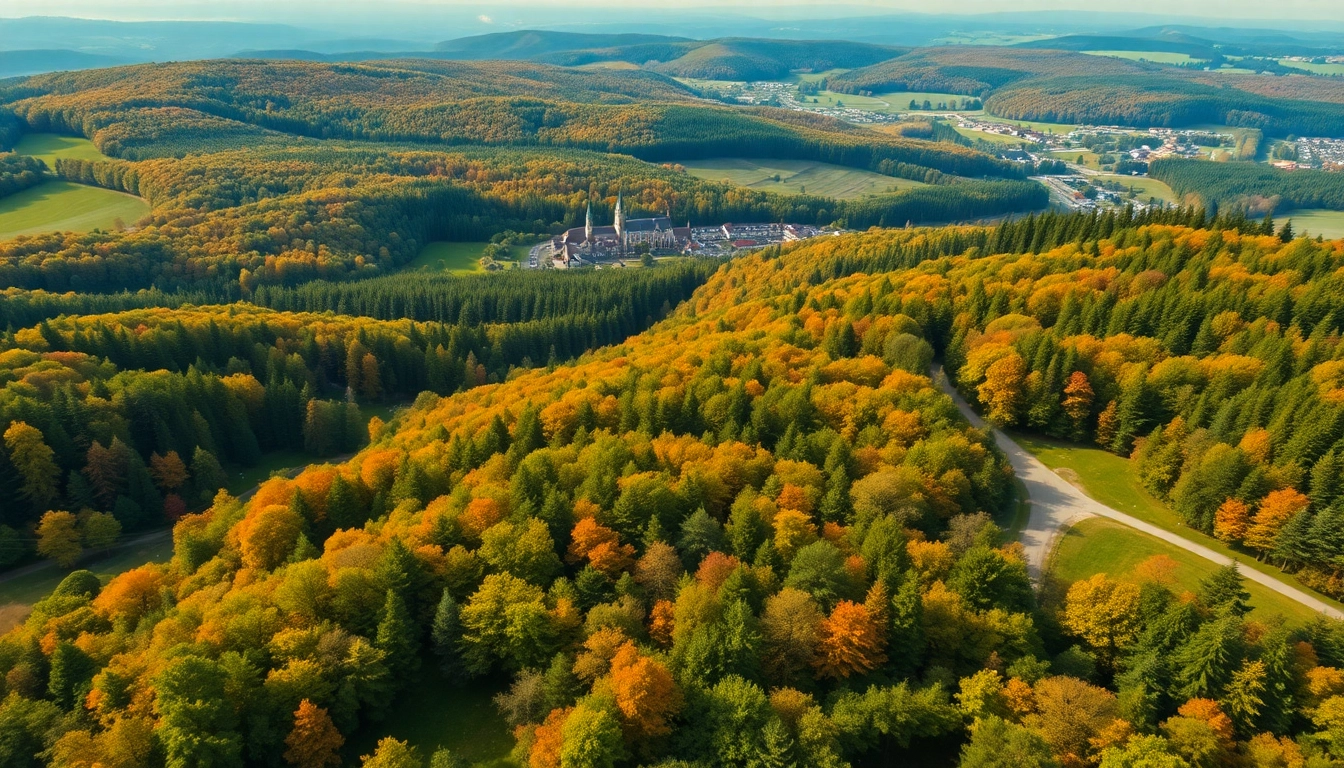 Breathtaking aerial panorama of Thüringen’s lush forests and scenic landscapes in vibrant autumn colors, inviting exploration.